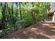 Wooded backyard view with a cozy seating area, offering a peaceful and private outdoor space at 3390 River Ferry Dr, Alpharetta, GA 30022