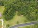 An aerial view of a lot with trees in the back and grass in the front with a driveway at 110 Serenity Pl, Fayetteville, GA 30214
