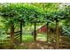 Backyard entrance showing an arbor covered in vines and a glimpse of the storage shed at 1367 Ormewood Se Ave, Atlanta, GA 30316