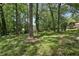 Grassy backyard with mature trees and lush greenery, perfect for outdoor activities at 623 Montevista Sw St, Atlanta, GA 30310