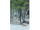 Snowy backyard with a wooded area, mature trees and wildlife at 3554 Umatilla Sw Ln, South Fulton, GA 30331