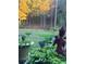 Lush backyard featuring a statue surrounded by vibrant greenery at 3554 Umatilla Sw Ln, South Fulton, GA 30331