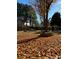 Fall foliage in backyard with mature trees and landscaping at 3554 Umatilla Sw Ln, South Fulton, GA 30331