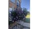 Exterior of home with beautiful landscaping and mature flowering shrub at 3554 Umatilla Sw Ln, South Fulton, GA 30331