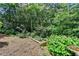 Beautiful backyard with a garden and plenty of green space at 3715 Horizon Ct, Cumming, GA 30041