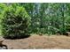 Lush backyard featuring mature trees and space for outdoor enjoyment at 3715 Horizon Ct, Cumming, GA 30041