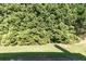 Green hedge providing privacy in a backyard with some shade at 1640 Donovans Nw Rdg, Kennesaw, GA 30152