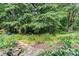 Lush backyard with stone walkway, vibrant plants, and mature trees create a private retreat at 3333 N Hembree Rd, Marietta, GA 30062