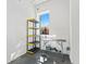 Pet grooming area with shelving, metal grooming table, and view from the window at 775 Juniper St # 212, Atlanta, GA 30308