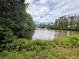 Scenic pond surrounded by lush trees, offering a peaceful retreat at 115 Haven Brook Way, Douglasville, GA 30134