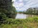Picturesque waterfront view with lush greenery, offering a serene backdrop for this peaceful and natural setting at 115 Haven Brook Way, Douglasville, GA 30134