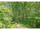 Overgrown, wooded backyard provides privacy and shade for this home at 4950 Creel Rd, Chattahoochee Hills, GA 30213
