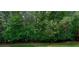 View of a tree-lined backyard on a sunny day at 2565 Holcomb Springs Dr, Alpharetta, GA 30022