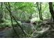 A creek runs through this backyard with lush, mature trees and shrubs providing a peaceful and private setting at 425 Chadwick Pl, Canton, GA 30114