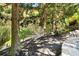 Relaxing backyard hammock shaded by tall trees with lush surroundings at 265 Tara Trl, Atlanta, GA 30327