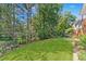 Green backyard featuring a lush lawn, mature trees, and well-maintained landscaping, providing a peaceful and private setting at 980 Windsor Place Cir, Grayson, GA 30017