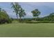 Picturesque golf course with manicured green, flags, pond, and mature trees under a partially cloudy sky at 3642 Fowler Rdg, Douglasville, GA 30135