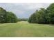Expansive golf course featuring green fairway lined with mature trees under a cloudy sky at 3642 Fowler Rdg, Douglasville, GA 30135