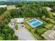 Aerial view showcasing community amenities, including a swimming pool, tennis courts, and playgrounds surrounded by lush greenery at 3317 Sweetleaf Ln, Buford, GA 30519