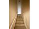 Carpeted stairs lead to the upper level of this home at 4801 Devonhurst Way, Powder Springs, GA 30127