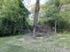Backyard showing overgrown vegetation and downed branches at 2039 Harwinor Se Rd, Smyrna, GA 30082