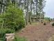Exterior view of the home, nestled among the trees at 2831 Bettis Ct, Marietta, GA 30066