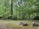 Lush backyard with mature trees, offering a private outdoor space with a fire pit at 3511 Brookview Dr, Marietta, GA 30068