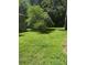 The backyard features a large green open space with a tree at 309 E Rhinehill E Rd, Atlanta, GA 30315