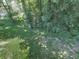 View of private backyard lush with mature trees, green grass and natural landscape at 301 Jetta Ln, Canton, GA 30115