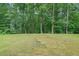 Well-maintained backyard and surrounded by trees at 58 First Manassas E Way, Sharpsburg, GA 30277
