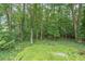 View of lush greenery and trees, providing a private and serene atmosphere in the backyard at 58 First Manassas E Way, Sharpsburg, GA 30277