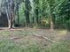 Lush backyard featuring mature trees and a chain-link fence offering a private outdoor retreat surrounded by nature at 971 Canyon Sw Trl, Marietta, GA 30060