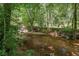 Scenic view of a small creek flowing through a lush, green wooded area on the property at 220 Mountain Creek Rd, Bowdon, GA 30108