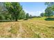 Well-maintained house and expansive grassy yard that offers a serene and inviting outdoor experience at 220 Mountain Creek Rd, Bowdon, GA 30108