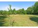 Great land opportunity with a serene outdoor setting with mature trees and lush vegetation at 220 Mountain Creek Rd, Bowdon, GA 30108