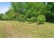 Well-maintained yard features a few trees and well-placed grape vines at 220 Mountain Creek Rd, Bowdon, GA 30108