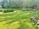 Grassy backyard with lush greenery at 1028 Gate Post Ln, Lawrenceville, GA 30044
