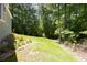 Lush backyard with a sloping lawn and mature trees providing ample shade at 390 Rock Springs Pass, Dallas, GA 30157