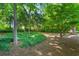 Lush green backyard featuring large trees and planted ground cover and foliage at 5 Windsor Ter, Avondale Estates, GA 30002