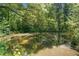 Scenic pond surrounded by lush trees, reflecting the natural beauty of the peaceful woodland setting at 226 Euharlee Five Forks Rd, Kingston, GA 30145