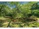 Picturesque view of a small pond with a charming bridge, creating a tranquil and inviting outdoor escape at 226 Euharlee Five Forks Rd, Kingston, GA 30145