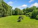 Spacious green yard with scattered bushes and trees, providing a versatile space for recreation and relaxation at 226 Euharlee Five Forks Rd, Kingston, GA 30145