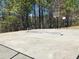 Community tennis court with net, basketball hoop, and tall trees in the background at 533 Mount Gerizim Se Rd, Mableton, GA 30126
