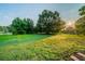 Expansive backyard featuring lush greenery and mature trees, perfect for outdoor activities and relaxation at 2091 Moon Drive Sw, Conyers, GA 30094