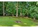 Expansive backyard bordered with mature trees at 3210 Roseheath Ln, Lithonia, GA 30038