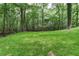 Wide shot of a lush backyard lawn surrounded by a private, wooded landscape at 4806 Deer Chase, Powder Springs, GA 30127