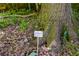 A Red Maple tree is marked in the yard with a sign on a sunny day at 1405 May Se Ave, Atlanta, GA 30316