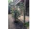 Exterior yard view with red rose bushes with hardscape and deck in background at 206 River Run Dr, Atlanta, GA 30350