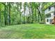Spacious backyard offering ample room for outdoor activities surrounded by lush greenery at 315 N Fayette Dr, Fayetteville, GA 30214