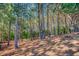 Natural scenic land, showing tall trees and sunlight, perfect for building a home at 1015 Carriage Way, Loganville, GA 30052